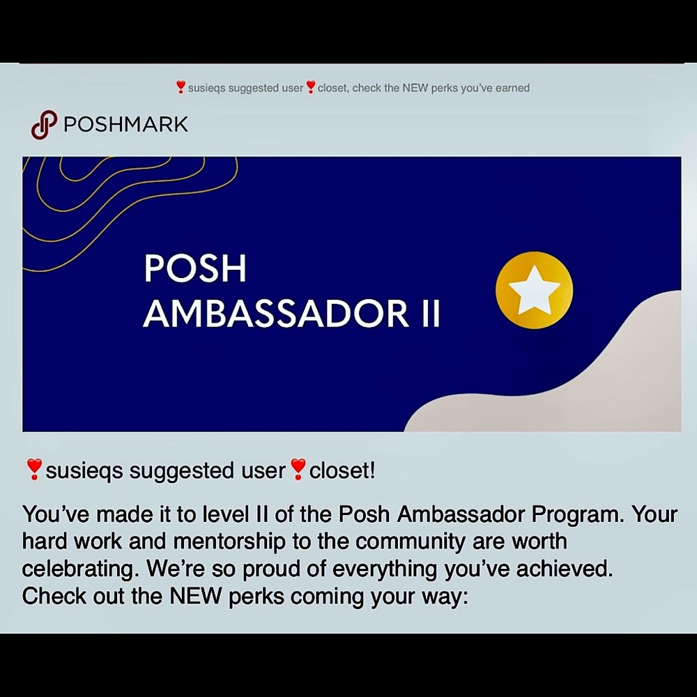 🌸🌸POSH AMBASSADOR II🌸🌸